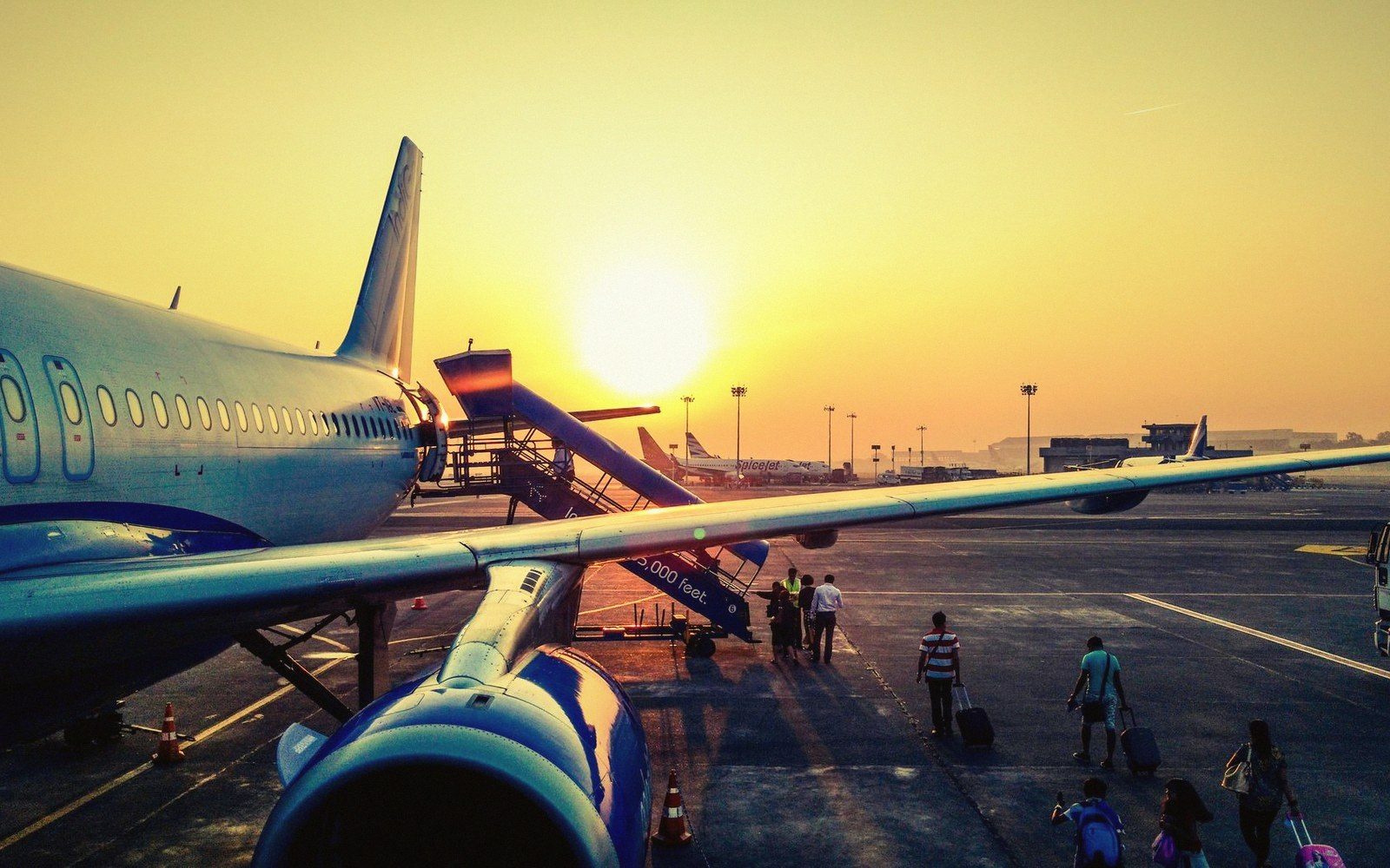 A Portrait Made in the Hour Before a Flight
